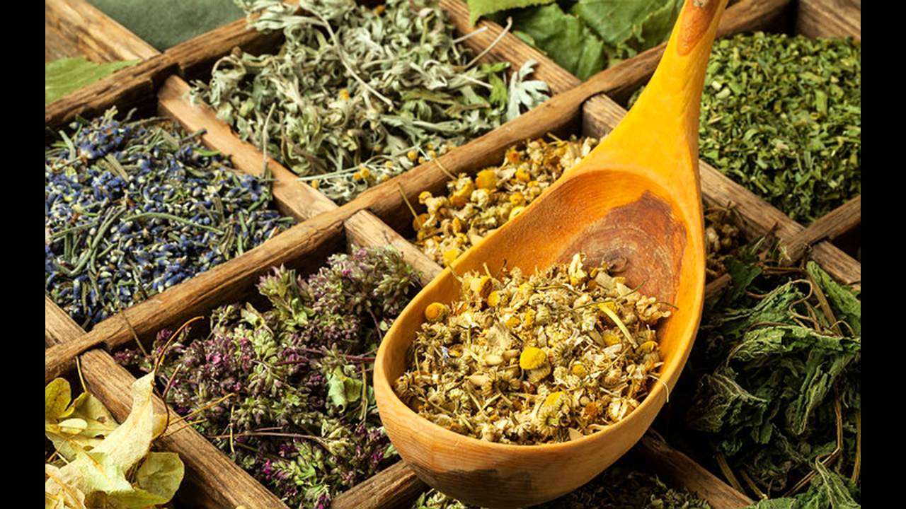 ŞİFALI BİTKİLERDEN BAZILARI