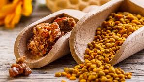 DOĞA MUCİZESİ: ARI  ARI MUCİZESİ: PROPOLİS